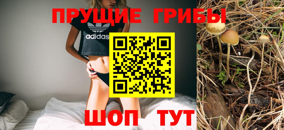 купить  сайты  Псилоцибиновые грибы мицелий  Вход с VPN  Псилоцибиновые грибы мухоморы  Сокол 